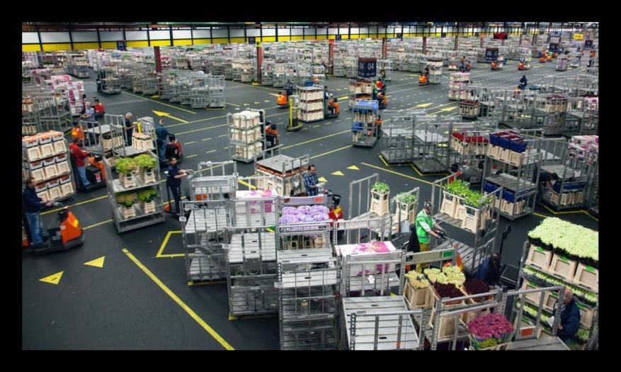 Saving costs and driving efficiencies by improving trolley predictions The trolleys that come and go each day to deliver flowers are the crux of the Royal FloraHolland supply chain.