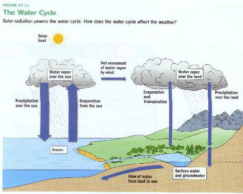 The Water Cycle When We Put this