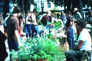 Policy 1: Expand community gardening opportunities in the City; consider using City surplus