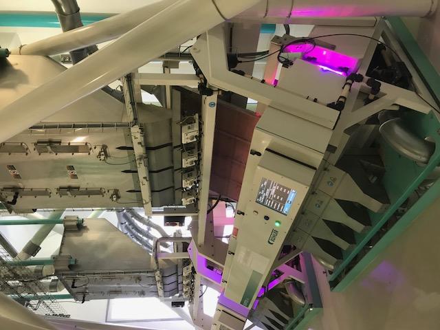 Optical Color Sorter Reduces Toxins in Grain Delivers Maximum Product Purity for the Best Value Empowering