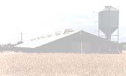 Estimated Crop Milling Residues Wheat Bran & Midds (tonnes/yr) Oat