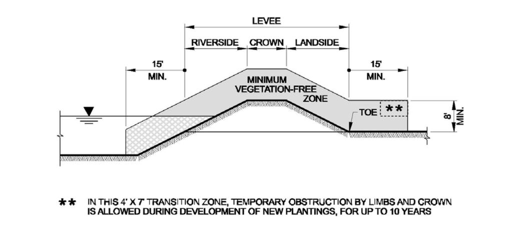 Levee Section