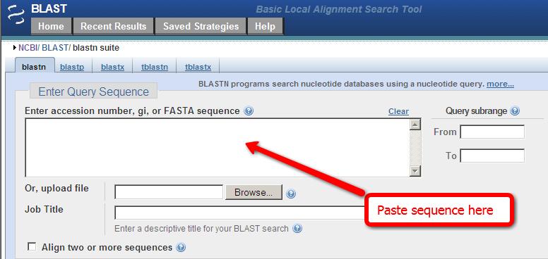 Using blastn Paste your query