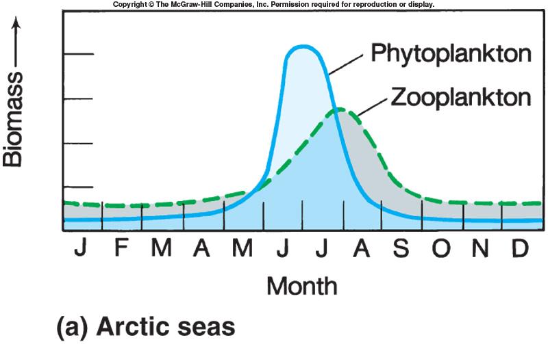 Polar Oceans Winter no light; sea-ice; nutrient rich waters under ice Summer abundant light; ice-melt leads