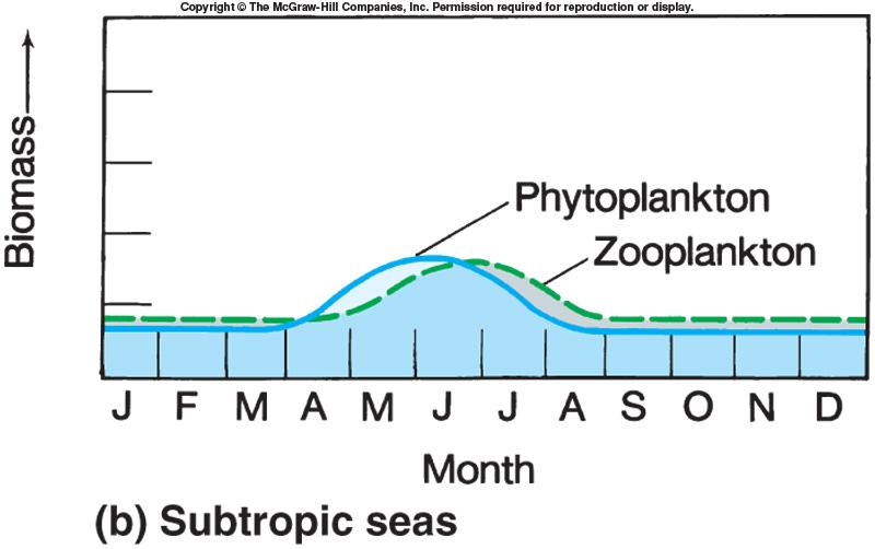 Subtropical Oceans Abundant sunlight year round Low nutrient and highly stratified water column