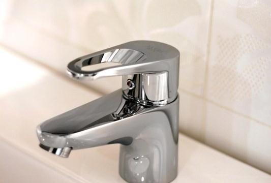 Flushing mechanism saving water consumption