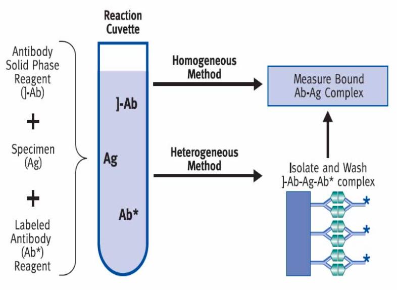 Heterogenous & Homogenous Heterogenous require separation of the free labeled Ag from the bound labeled Ag in the solution Precipitation, Liquid-phase adsorption,