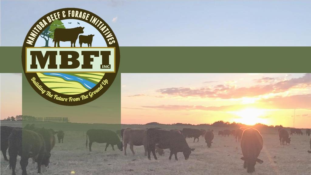 Driving Beef and Forage Innovation Right Here at