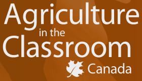 Looking Forward Engaging the Next Generation Student workshops Field trips, workshops, hands-on learning 4H Canada Short term projects,