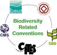 6) Sudan being party to Biodiversity Related Conventions Convention Sudan s position Ratification Convention on Biological Diversity (CBD) 1995 Convention on Migratory Species (CMS) (AEWA) Convention