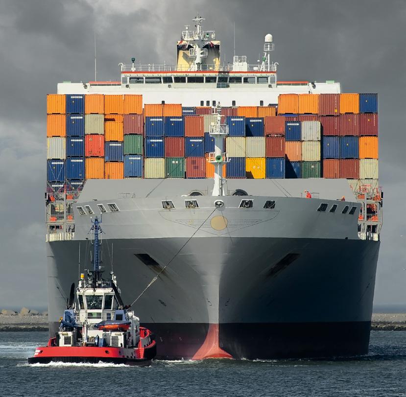 European Maritime Safety Agency WHEN TO REPORT All ships should report any dangerous or polluting goods on board when: leaving a port of a Member State at the latest at the moment of departure coming