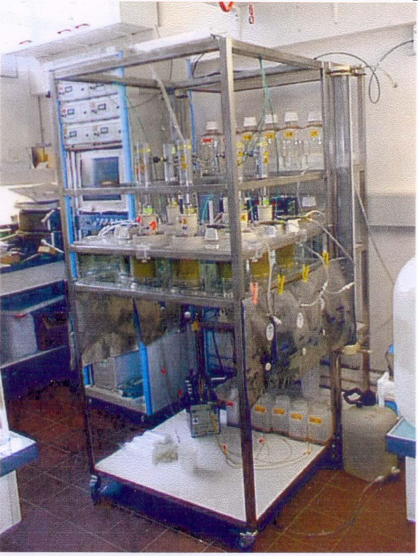 More complex in vitro methods Rusitec Dual effluent fermenter Better than