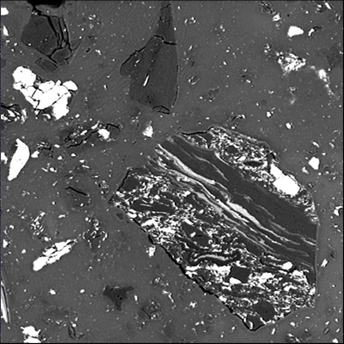 Interlayered macerals and clay in a coal particle Back scattered electron image of a larger coal particle