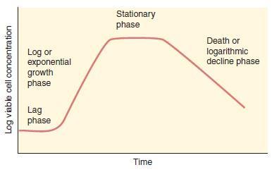 Bacterial Growth curve: It is a curve that reflect the events(phases) that occurs in a population of bacterial cells. It studies the cell concentration over a period of time.
