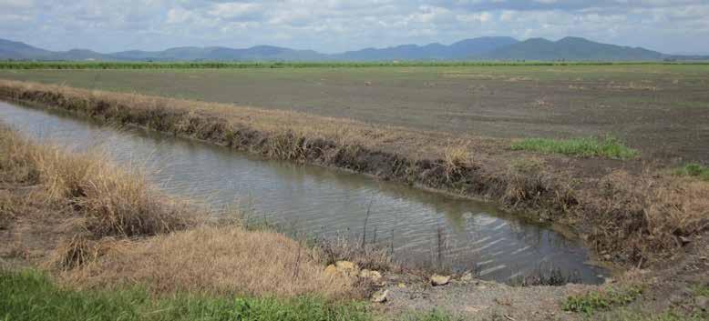 09 Good drainage pays benefits to growers David Calcino Development Officer Nutrition Professional Extension and Communication Unit Poor drainage of canefields causes major sugarcane losses,
