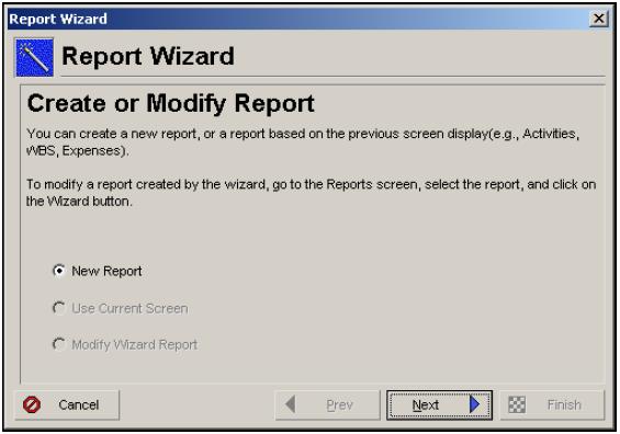 Tips and Tricks Choose Tools, Reports, Reports. Click Add to run the Report Wizard. Select New Report, then click Next.