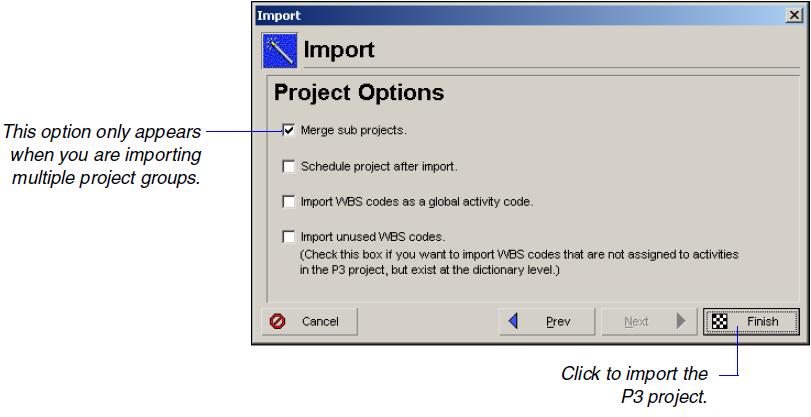 P3 to P6 Professional Migration Guide Choose additional project options Use the Project Options dialog box to specify the following additional options. Click Finish to begin the import process.
