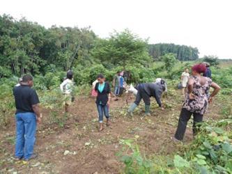 Training of farmers on alternative