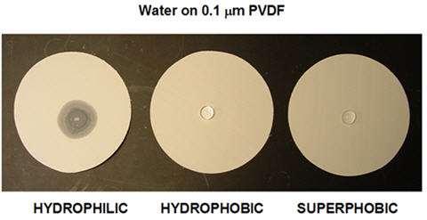 Hydrophilic & Hydrophobic Membranes Filters used to purify water hydrophilic filters (=