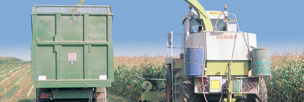 CORN CORN for Wholecrop & Maize Silage A biological maize and The preservation of maize and is similar to that of grass, consisting of a fermentation to produce lactic acid, resulting in a reduction