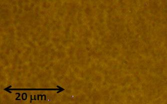The film thicknesses were 1000 nm, and their magnetic domain structures observed visually using a transmission-mode polarization microscope (Leitz Orthoplan) are shown in inset.