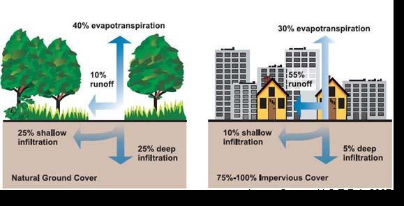 Effect of Urbanization Infiltration is reduced resulting in increasing quantities of runoff. This storm water runoff has been regarded as nuisance.