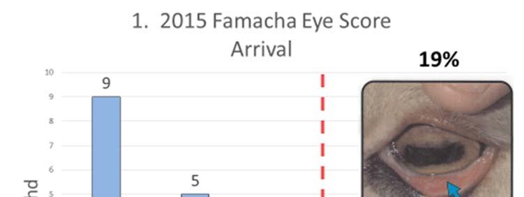 Figure 1. Initial Eye Scores (6/26/2015).