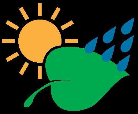 , canola, soybean, rice, wheat, potato, cotton, alfalfa) Enhance photosynthesis (carbon capture) CO 2 Shift
