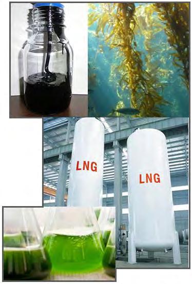 Fuels Conventional fuels (HFO, MDO) Infrastructure exists Liquefied natural gas (LNG) Technology exists Full infrastructure required Ships being ordered 1 st and 2 nd Generation biofuels Filter