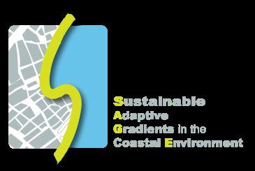 Sustainable Adaptive Gradients in the Coastal Environment (SAGE RCN): Reconceptualizing the Role of Infrastructure in Resilience Melissa A.