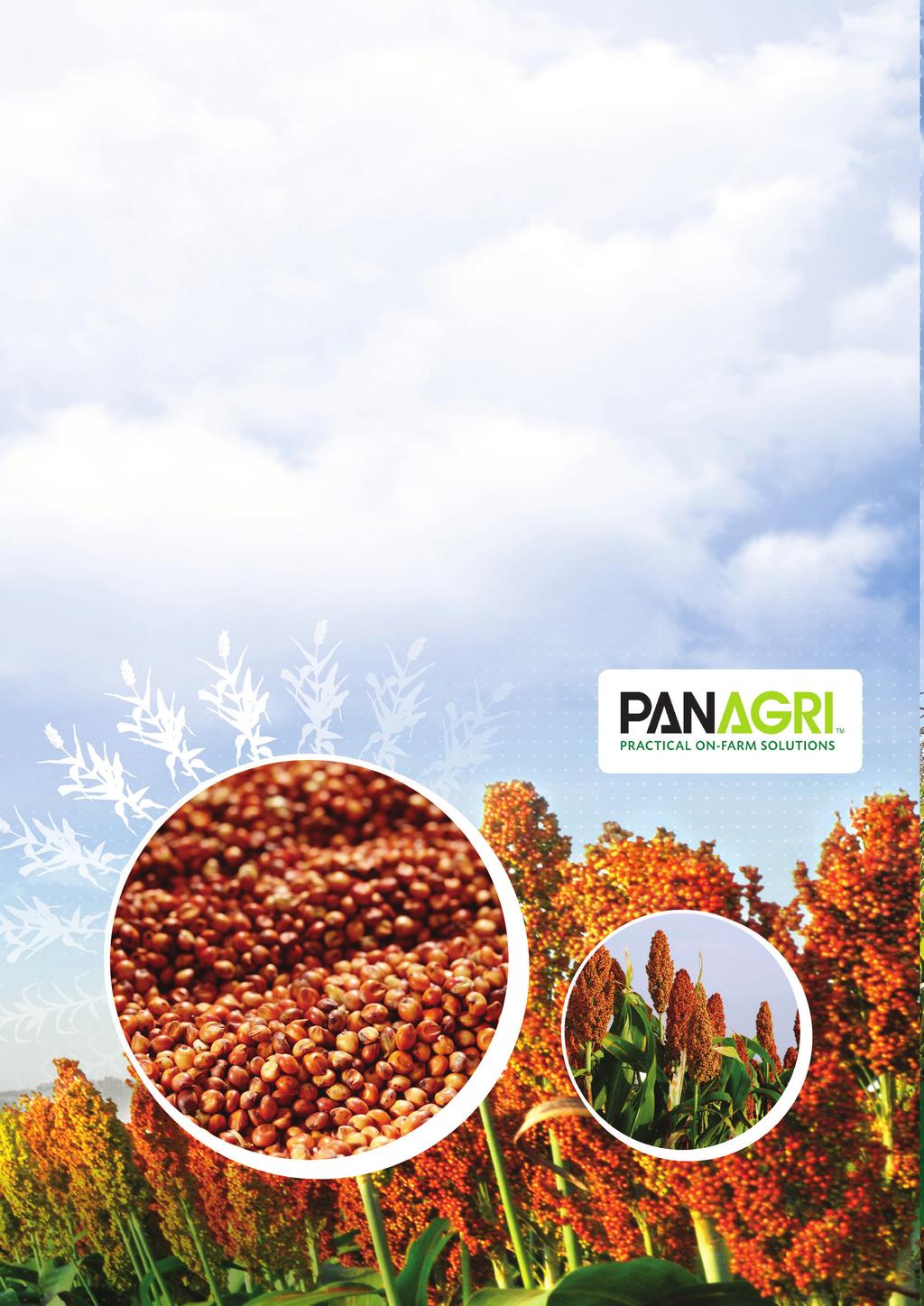 PANNAR SORGHUM MANAGEMENT GUIDE Diseases biggest impact Critical moisture requirement Top dressing Weed