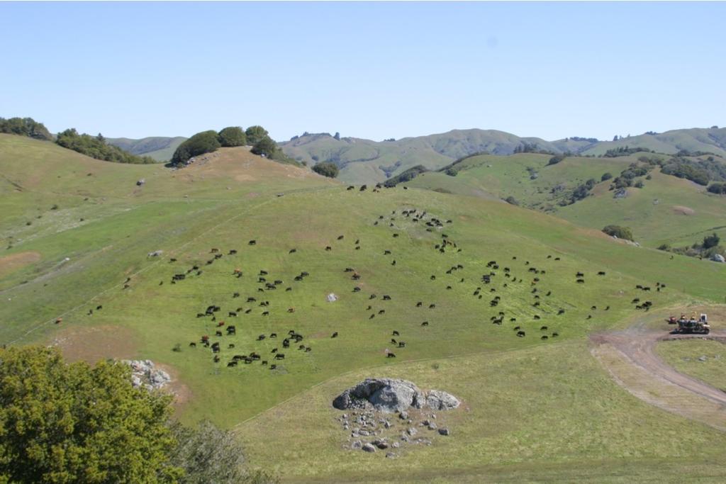 Climate Change Mitigation Potential of California s Rangeland Ecosystems Whendee L. Silver, Marcia S. DeLonge, and Justine J.