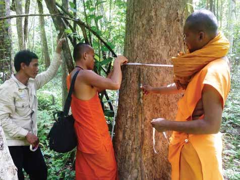The project The project protects 13 tropical forest sites across Oddar Meanchey, ranging in size from 383 hectares to 17,848 hectares and cumulatively representing nearly 10% of the land area of the