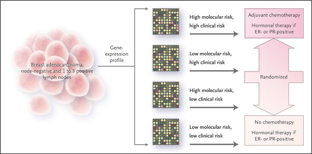 Use of a Gene-Expression Profile to Define the Risk of Relapse in Patients with Early-Stage Breast Cancer Genomic-Based Prediction Risk Models from Vascular Access Clinical Studies Patient Tissue and