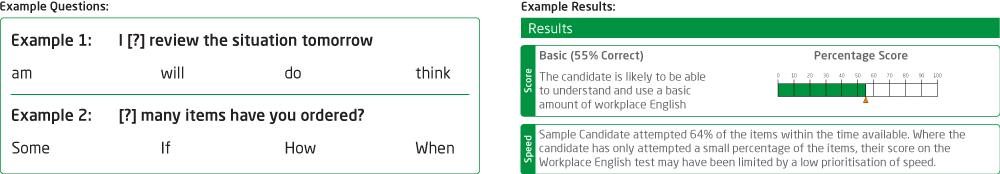 The Saville Consulting Workplace English Tests assess, in less than 20 minutes, an individual's understanding and use of English in the workplace.