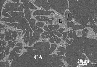 (c) Liquid(L), CaO Al 2O 3 (CA) at 1550 C (d) Liquid(L), CaO Al 2O 3 (CA), CaO 2Al 2O 3 (CA2) at 1550 C Fig.1 Backscattered SEM micrographs of equilibrated CaO-Al 2 O 3 -FeO x slag samples.