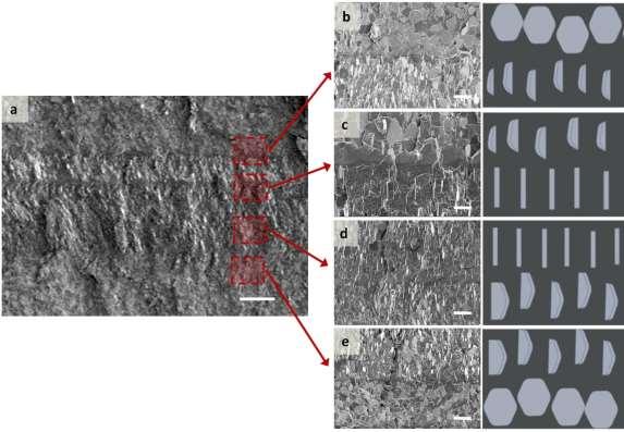 Supplementary Figure 12. (a-e) The 3D printed block was freeze fractured and observed via SEM.
