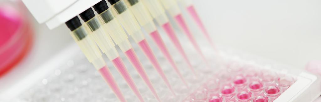 WHO RELIES ON PRECISE CELL CULTURE MEDIA? Cell culture products are used in biopharmaceutical research throughout the drug development process from discovery to development and manufacturing.