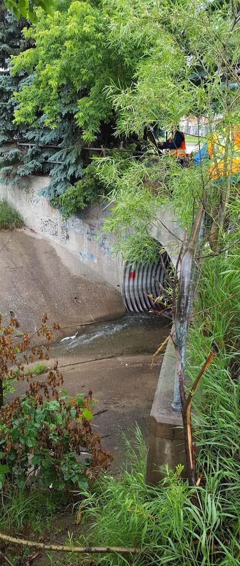 The Mimico Creek Culvert Corrugated steel pipe arch located at the Torbram Road / Williams Parkway intersection Appears to be in poor structural condition and
