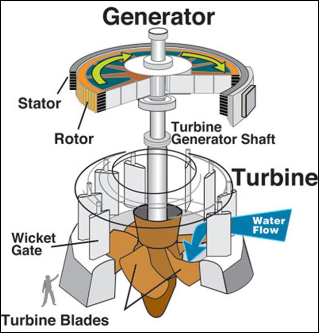 How Hydropower Works Electricity is generated by water spinning a turbine and generator.