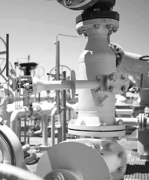 maintenance costs Why choose AMPO-POYAM Valves?