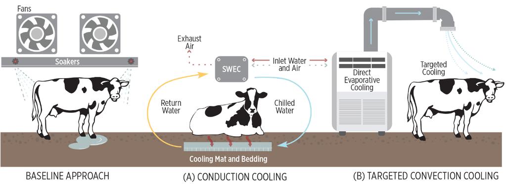 Improving Water and Energy Efficiency in California s Dairy Industry Sponsor: CEC