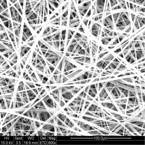 A B C Figure 1: SEM image of as spun A) Tri-PMMA B) Tri-PCL C) Tri-Gelatin blends All three compositions explored in this study show fibers in