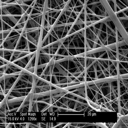 essential that electrospun fibers maintain their microstructure during the