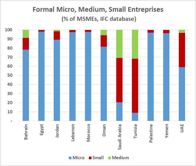 SMEs in the Arab countries: the numbers The IFC analyses and database Data inconsistencies for
