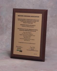 Excellence 2017 WEDA Award for CC Adaption