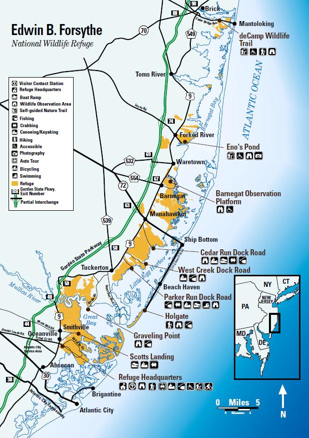 US Fish and Wildlife Service Forsythe National Wildlife Refuge Forsythe NWR: >40,000 acres of wetlands and other habitat in coastal NJ Collaboration