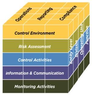 Committee Of Sponsoring Organizations Framework Control Environment, Risk
