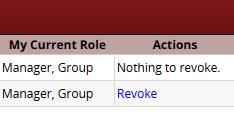 displayed next to the Assignment Group name to see all of the delegated roles. 5.
