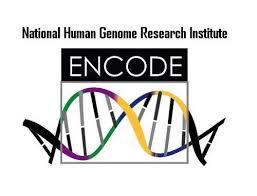 Comprehensive database of genomic features Systemic understanding of
